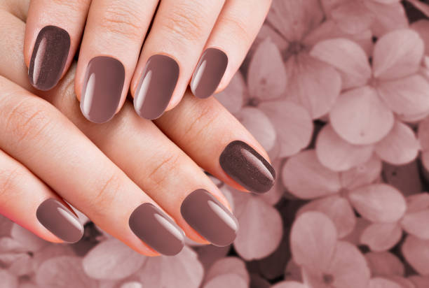 istock Female hands with brown nail designs 1459885288
