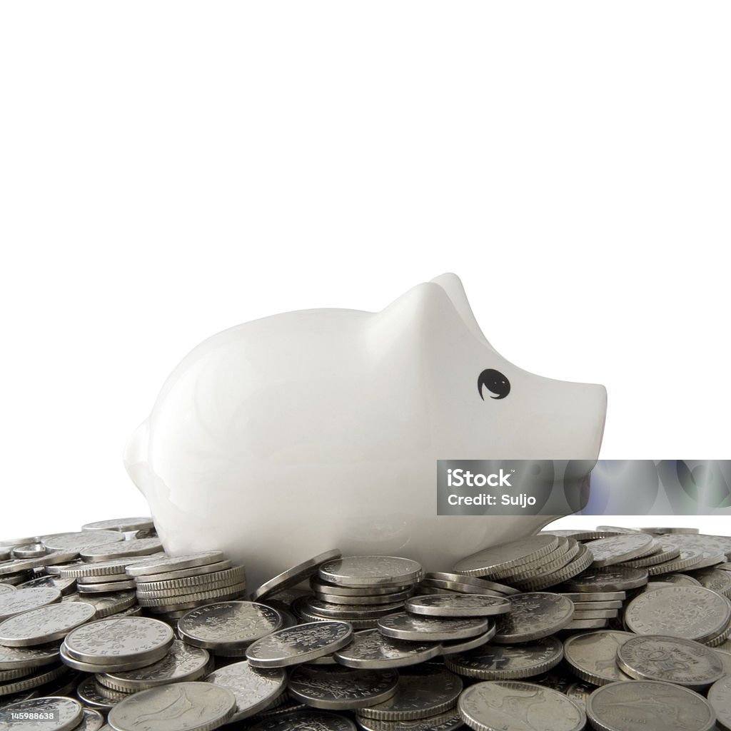 Piggy bank Save you money in piggy bank Animal Stock Photo