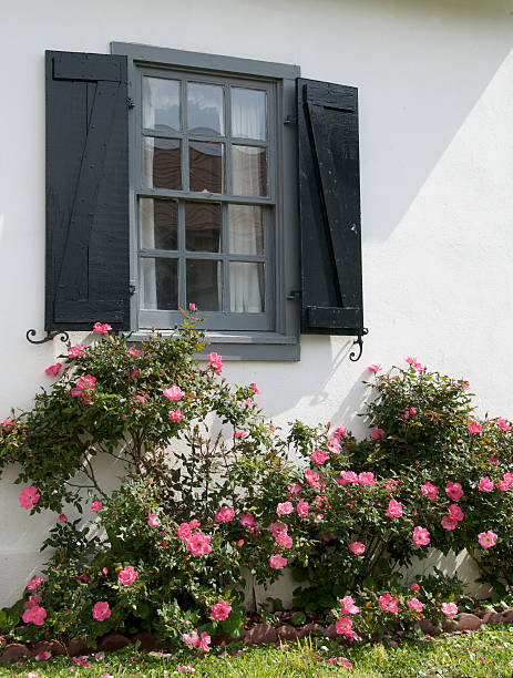 istock Wooden window with flowers. 145988979