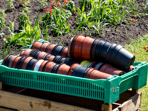 Big green plastic box full with empty brown and black plastic pots stacked together for plants with flower bed in the background in sunny day. Gardening concept