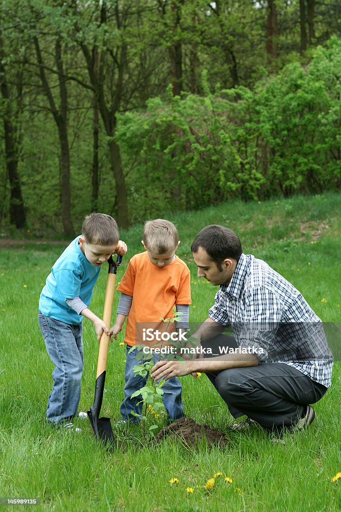 planting a tree father and sons planting a tree - working together Planting Stock Photo
