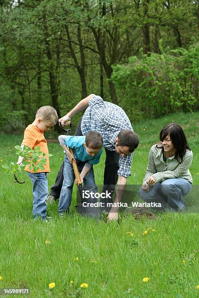Planting A Tree Stock Photo - Download Image Now - Tree, Planting, Shovel