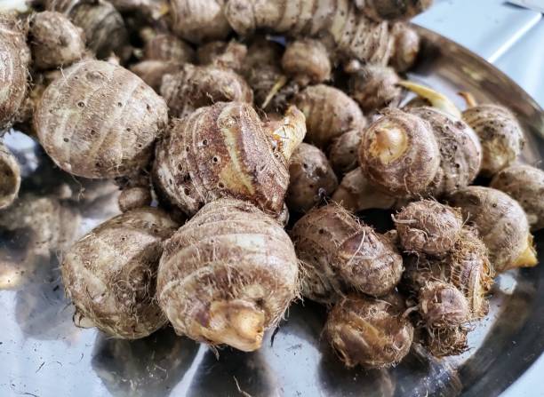 istock White Dasheen taro (Colocasia esculenta),  vegetable roots. 1459896732