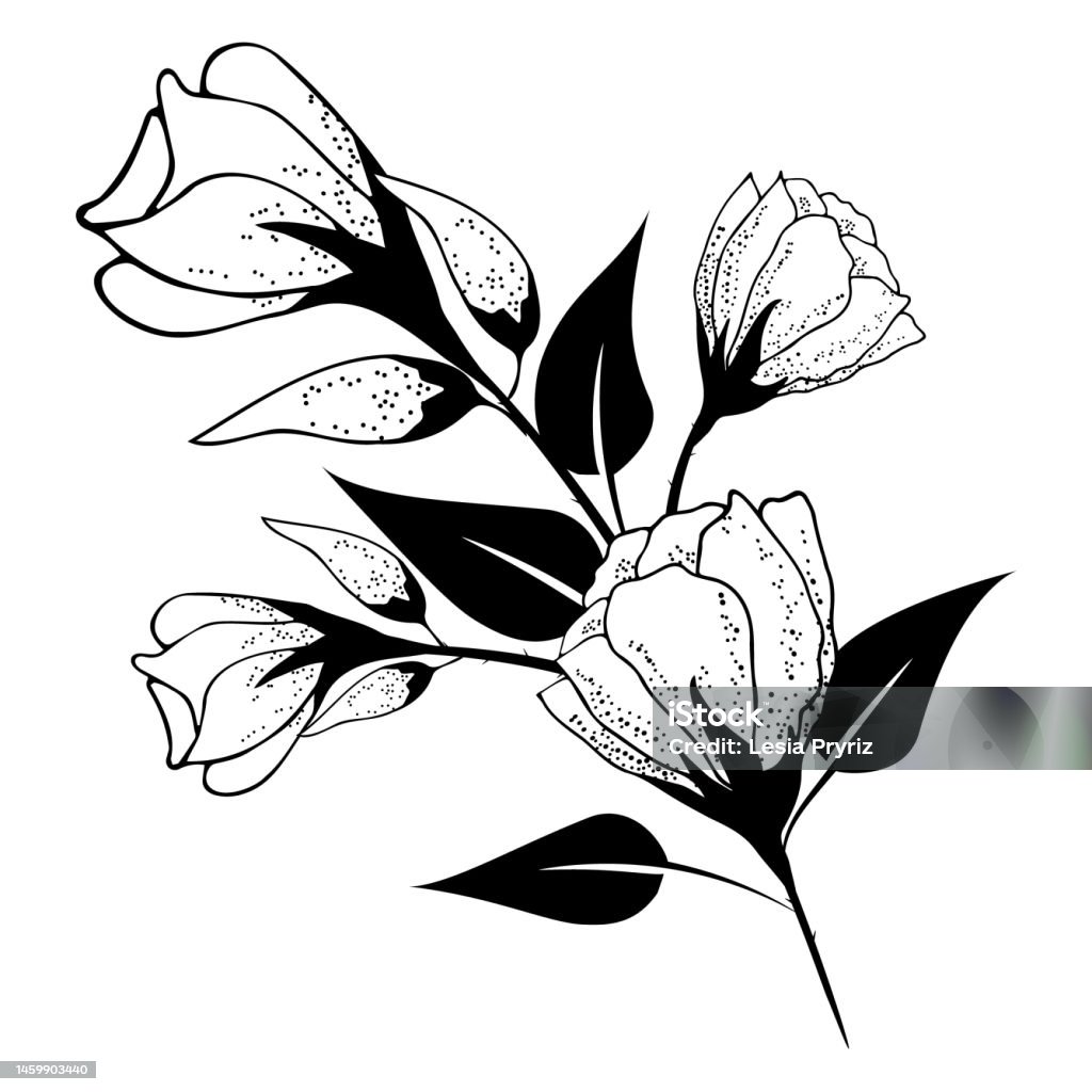 Ilustración de La Composición Floral Es Delicada Fondo Floral Con Delicadas Flores Y Ramas De Brotes Dibujo A Mano Para Decoración Estilizada Invitaciones Tarjetas Carteles Volantes Fondos Como Imágenes Prediseñadas O Páginas Ilustración de La Composición Floral Es Delicada Fondo Floral Con Delicadas Flores Y Ramas De Brotes Dibujo A Mano Para Decoración Estilizada Invitaciones Tarjetas Carteles Volantes Fondos Como Imágenes Prediseñadas O Páginas