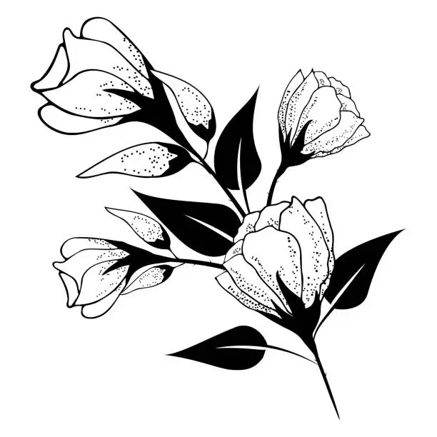 Vector illustration of Floral composition is delicate, floral background with delicate flowers and branches of buds. Hand drawing. For stylized decor, invitations, cards, posters, flyers, backgrounds, as clipart or coloring pages.