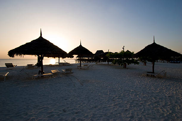 sunset on beach zanzibar africa stock photo