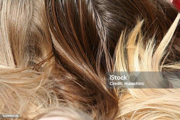 Włosy - zdjęcia stockowe i więcej obrazów Blond włosy - Blond włosy, Brązowe włosy, Brązowy