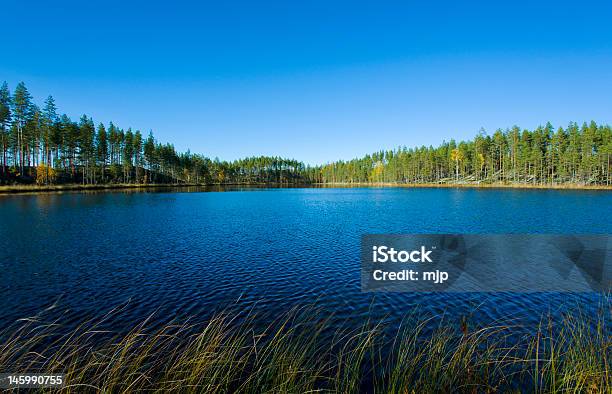 See Lake Stockfoto und mehr Bilder von Baum - Baum, Blau, Finnland