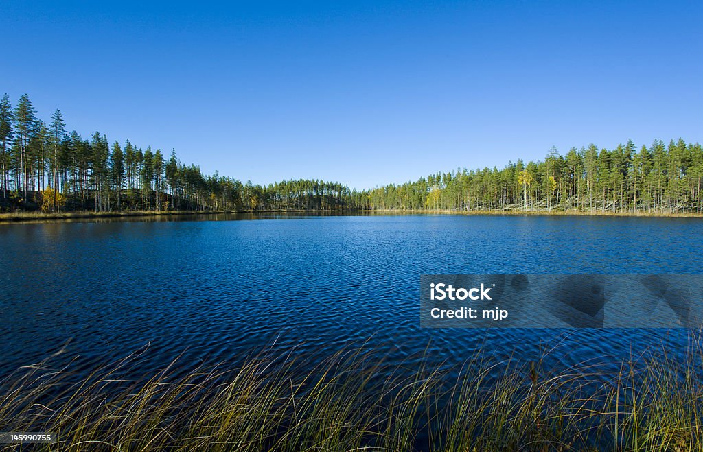 Lago - Foto stock royalty-free di Acqua