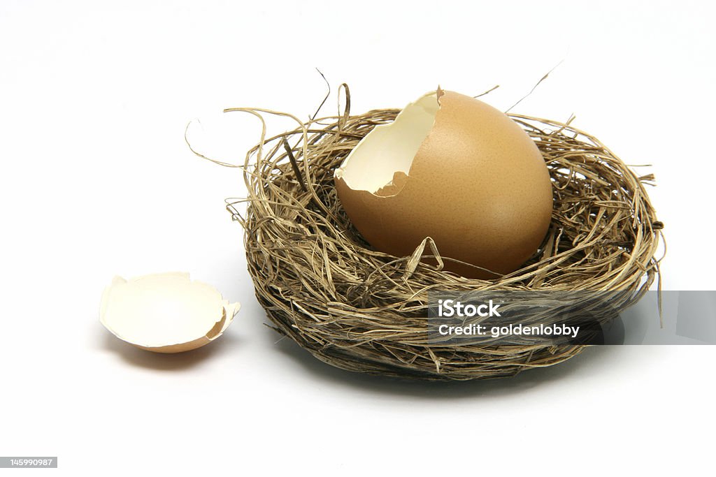 Gebrochenes Ei im nest - Lizenzfrei Agrarbetrieb Stock-Foto