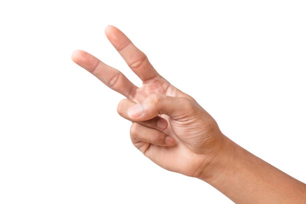 istock Hand shows number two, isolated on white background 1459910153