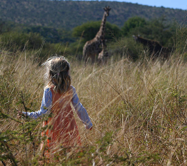 żyrafa dziewczyna - south african giraffe zdjęcia i obrazy z banku zdjęć