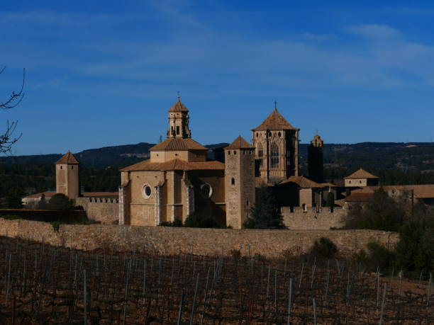 istock Poblet monastery and surrounding vineyards, Catalonia 1459910864