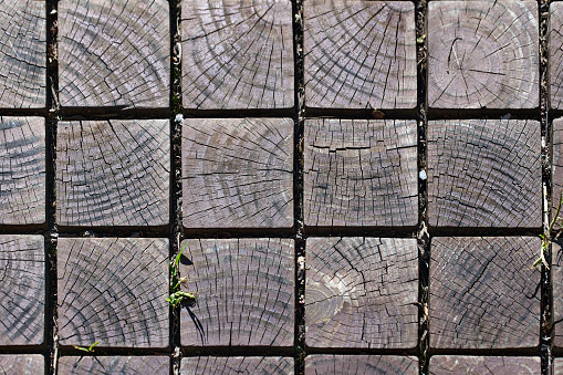 Wood Ring Pattern Blocks Collage Full Frame Shot.