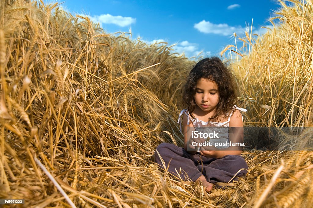 Kleines Mädchen in Weizen Feld - Lizenzfrei Agrarbetrieb Stock-Foto