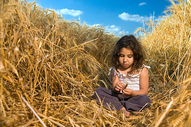 istock little girl in a wheat field 145991223