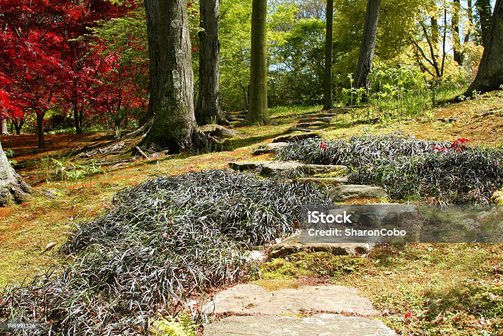 Ziergarten - Lizenzfrei Abgeschiedenheit Stock-Foto