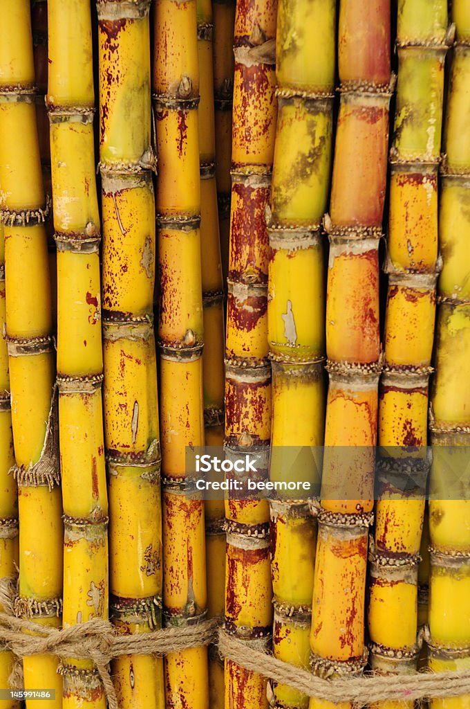 Yellow Sugar Cane Pattern Stock Photo