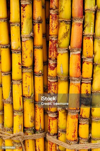 Yellow Sugar Cane Stock Photo - Download Image Now - Pattern, Sugar Cane, Agriculture
