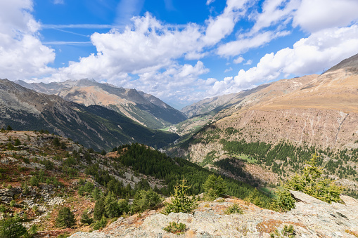 Distant mountain gorge with dwarf pine trees and sparse autumn vegetation on slopes under shadows of passing white clouds in blue sky in Parco Nazionale Gran Paradiso, Cogne, Aosta Valley, Italy
