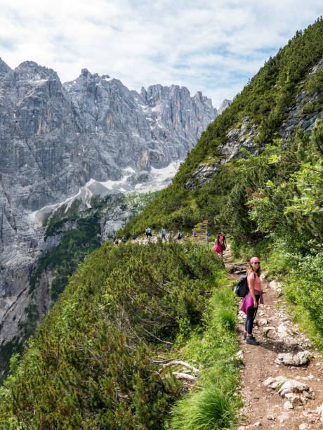 istock Vertical shot of a female hiker with a backpack standing on a pathway on rocky hills 1459915518