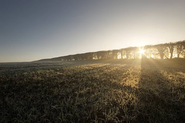 neverending por la mañana - suffolk winter england fog fotografías e imágenes de stock