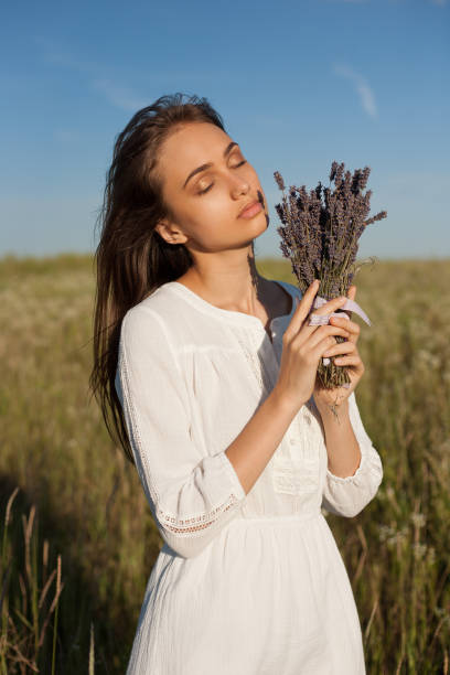 istock Fresh scent of lavenders. 1459917006