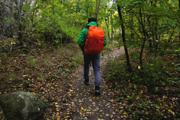 istock A tourist with a red backpack walks along a mountain path in the forest in spring or autumn. Traveler, tourist in autumn landscape. Mountains and trekking 1459920731