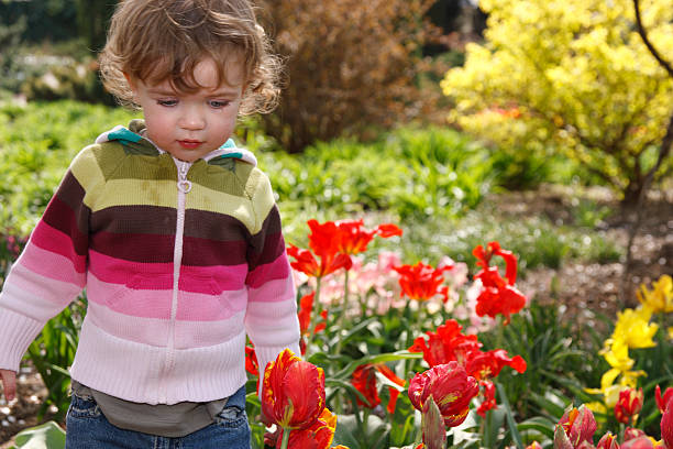 istock Child in the garden 145992107