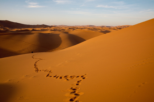 Footprint in sahara desert dunes