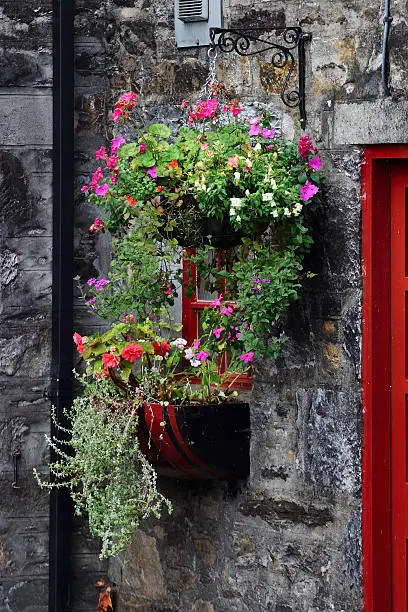 blooming flowerbox at window
