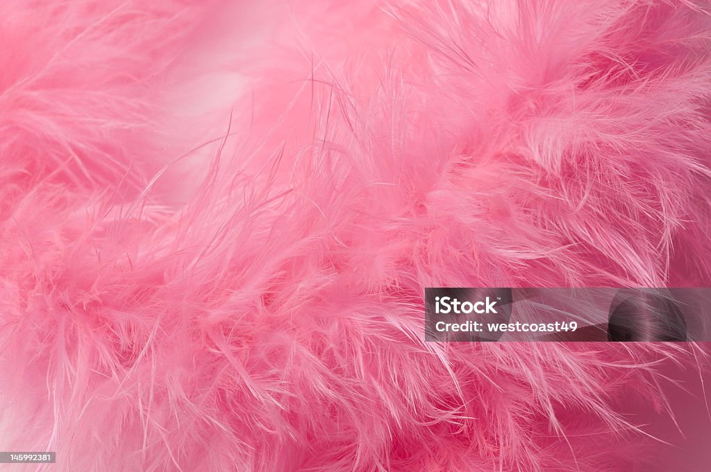 De cerrar y rosa - Foto de stock de Bufanda de plumas libre de derechos