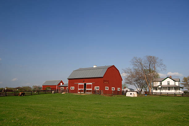Red barn and white farm house Farm with red barn and white house, grass field, and a sky with a nice blue gradient in mid afternoon. This is in Virginia, USA. Also see the winter version of this shot; petting zoo stock pictures, royalty-free photos & images