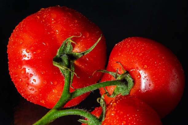 istock photo tomatoes with drops of water on a black background 1459924203