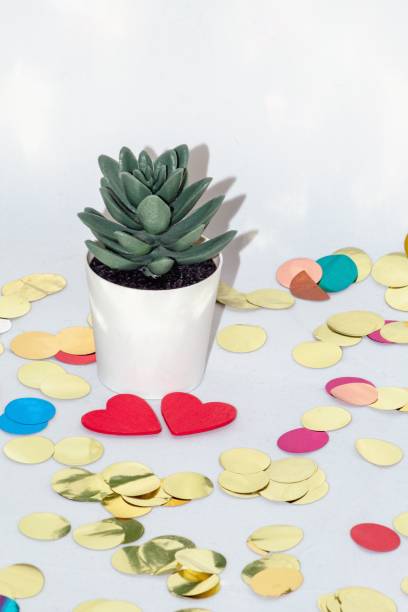 istock Small white pot with a cactus in it on a white background with colored confetti. 1459924390