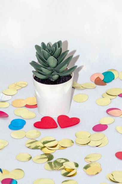 istock Small white pot with a cactus in it on a white background with colored confetti. 1459924490