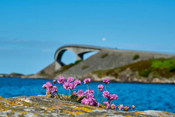 istock popular bridge along the famous atlantic road in Norway 1459924586