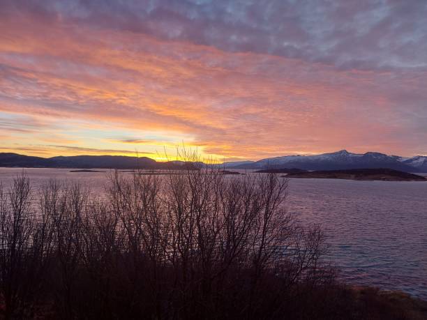 istock Beautiful cloudy sunset sky over the lake. 1459924746