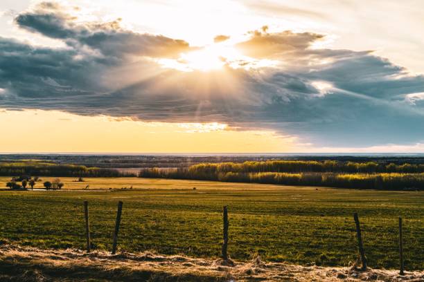 istock Aerial view of greenery field surrounded by dense trees during sunset 1459924770