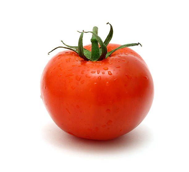 tomato stock photo