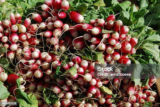 Beterraba Dourada - Fotografias de stock e mais imagens de Beterraba Dourada - Beterraba Dourada, Comida, Estilo de Vida