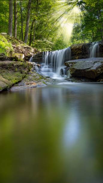 istock Small waterfall flowing through a forest filled with green trees 1459926650