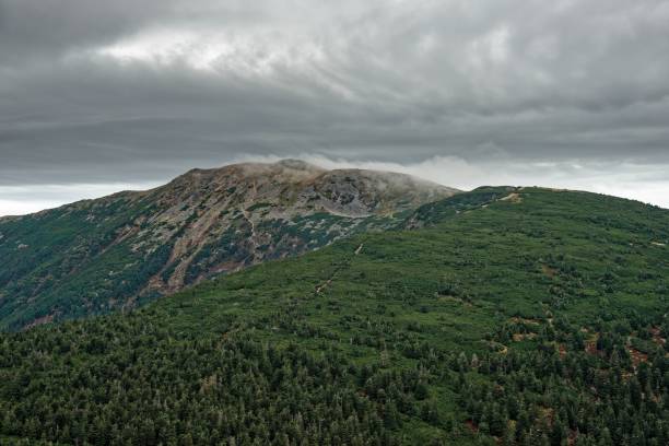 istock Drone view of hills with green trees under cloudy sky 1459927525