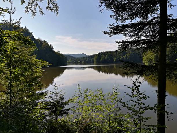 istock Beautiful nature, lake, summer, Croatia 1459927527