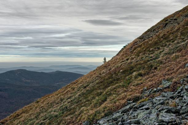 istock Close-up view of a hill with cloudy sky in background 1459927537