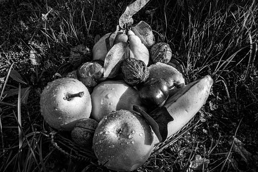 A grayscale closeup of wet fruits and nuts in the grass.
