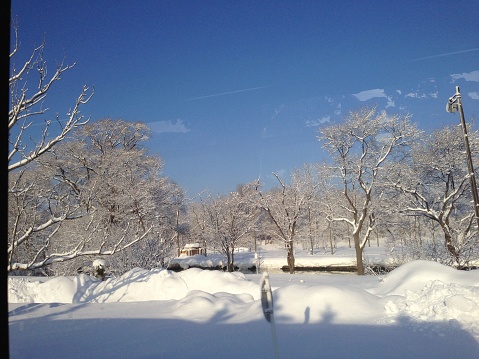 Exhibition Park is located in the Exhibition neighborhood of Saskatoon.