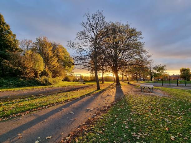 istock Beautiful view of the empty park at sunset. 1459930231