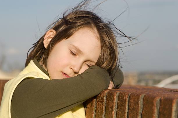 istock missy in the wind - repose 145993034