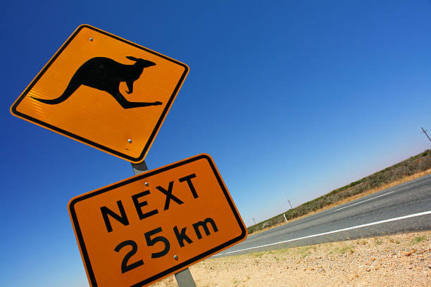 Kangaroo crossing sign on country road Travel Australia , Kangaroo warning sign at an Australian Outback  highway,  kangaroo crossing sign stock pictures, royalty-free photos & images